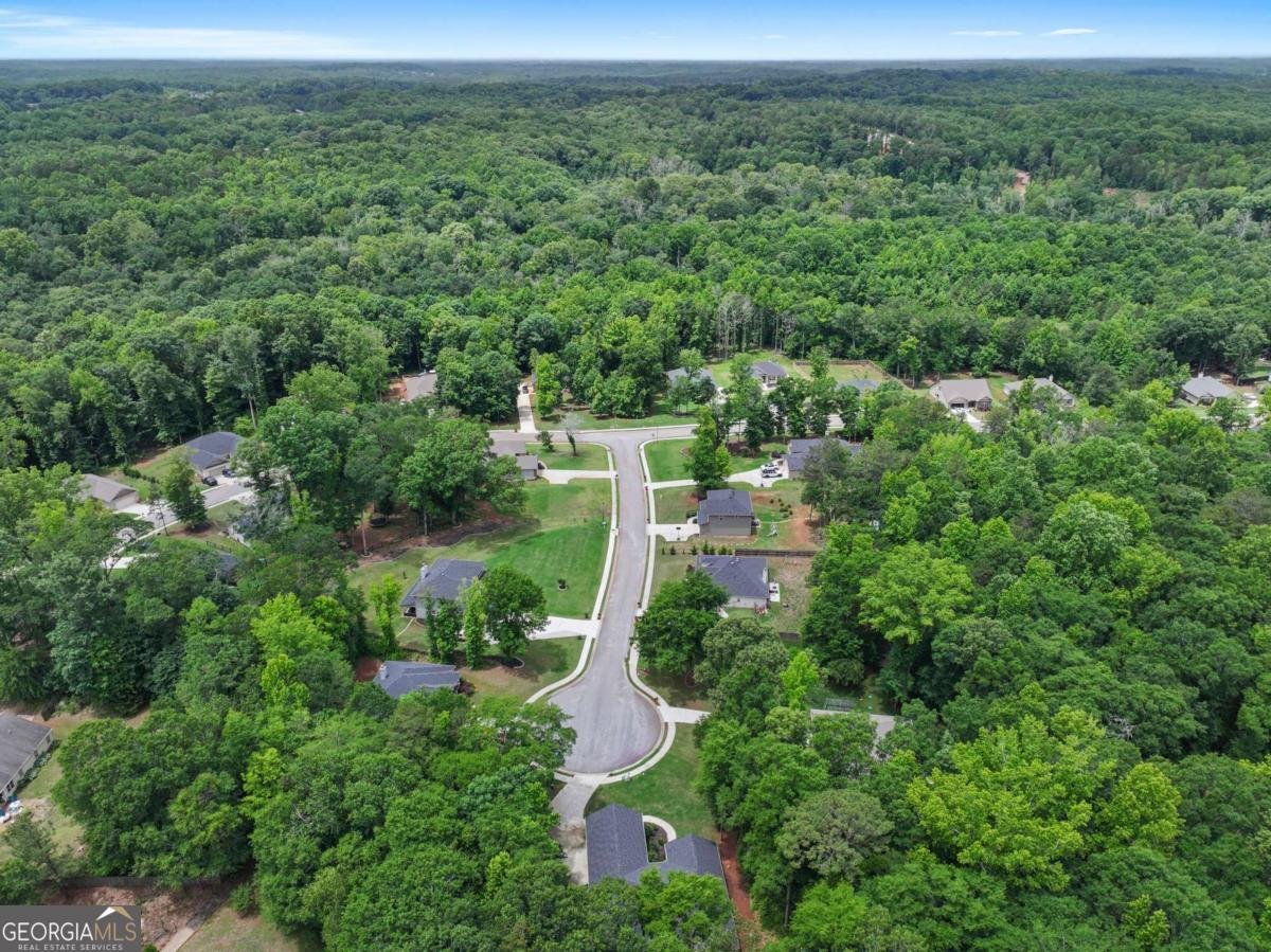 537 Forest Path Jefferson - Photo 51