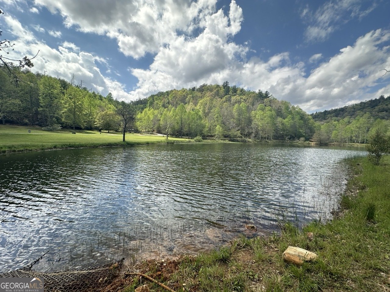 140 Cove View Lane Clarkesville - Photo 100