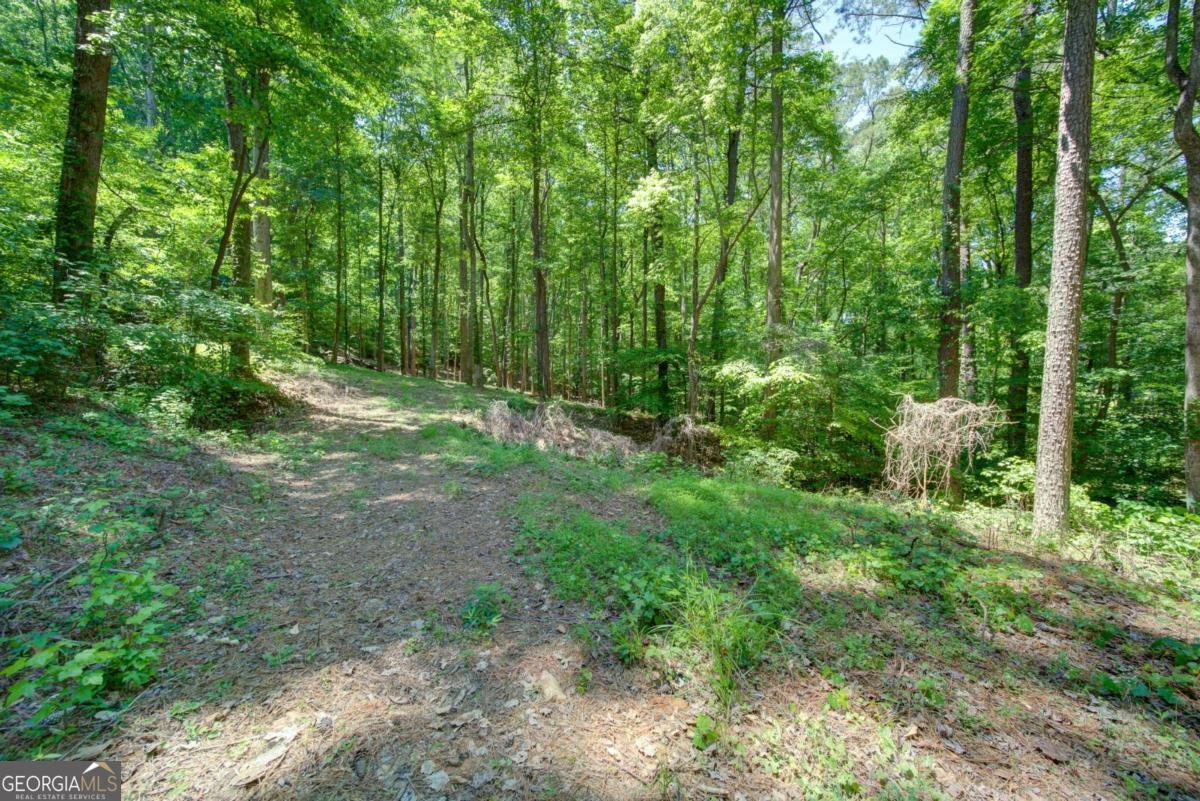 1981 Mountain Drive Alpharetta - Photo 8