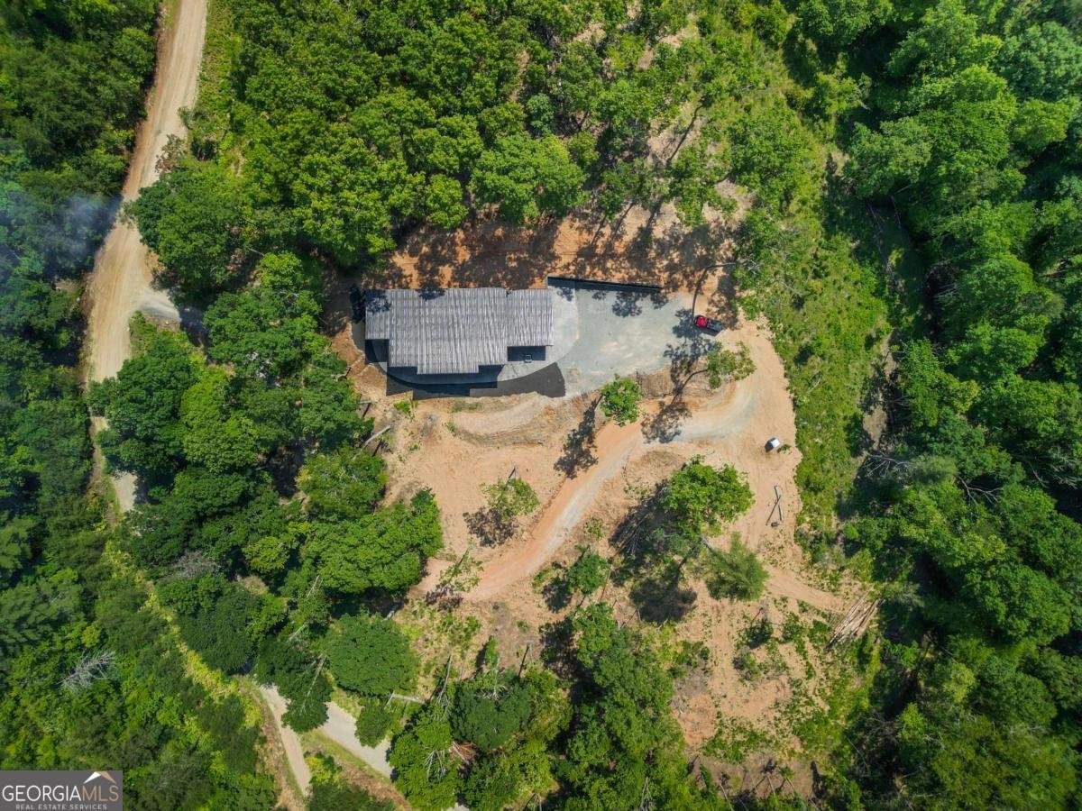 265 Park Glen Lane Mineral Bluff - Photo 42
