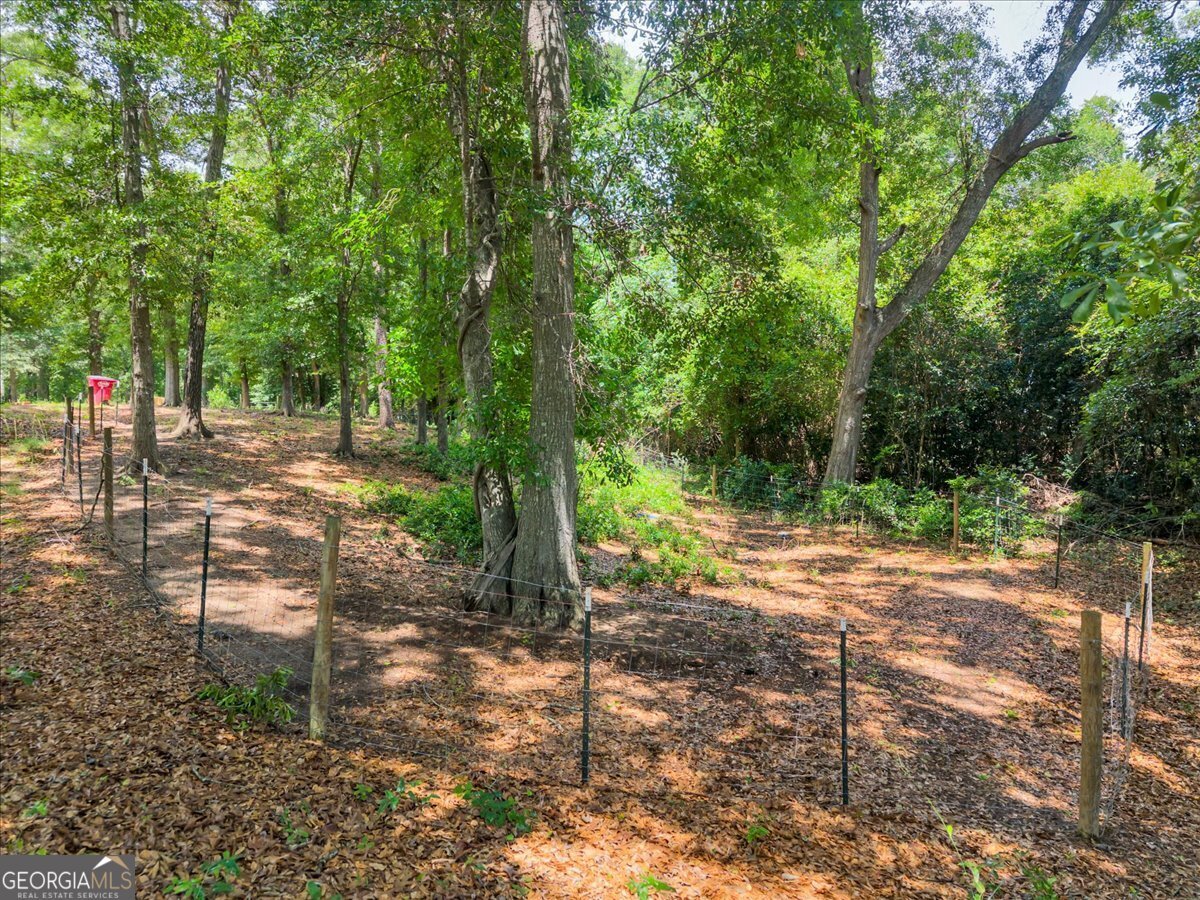 4565 Sardis Church Road Macon - Photo 49
