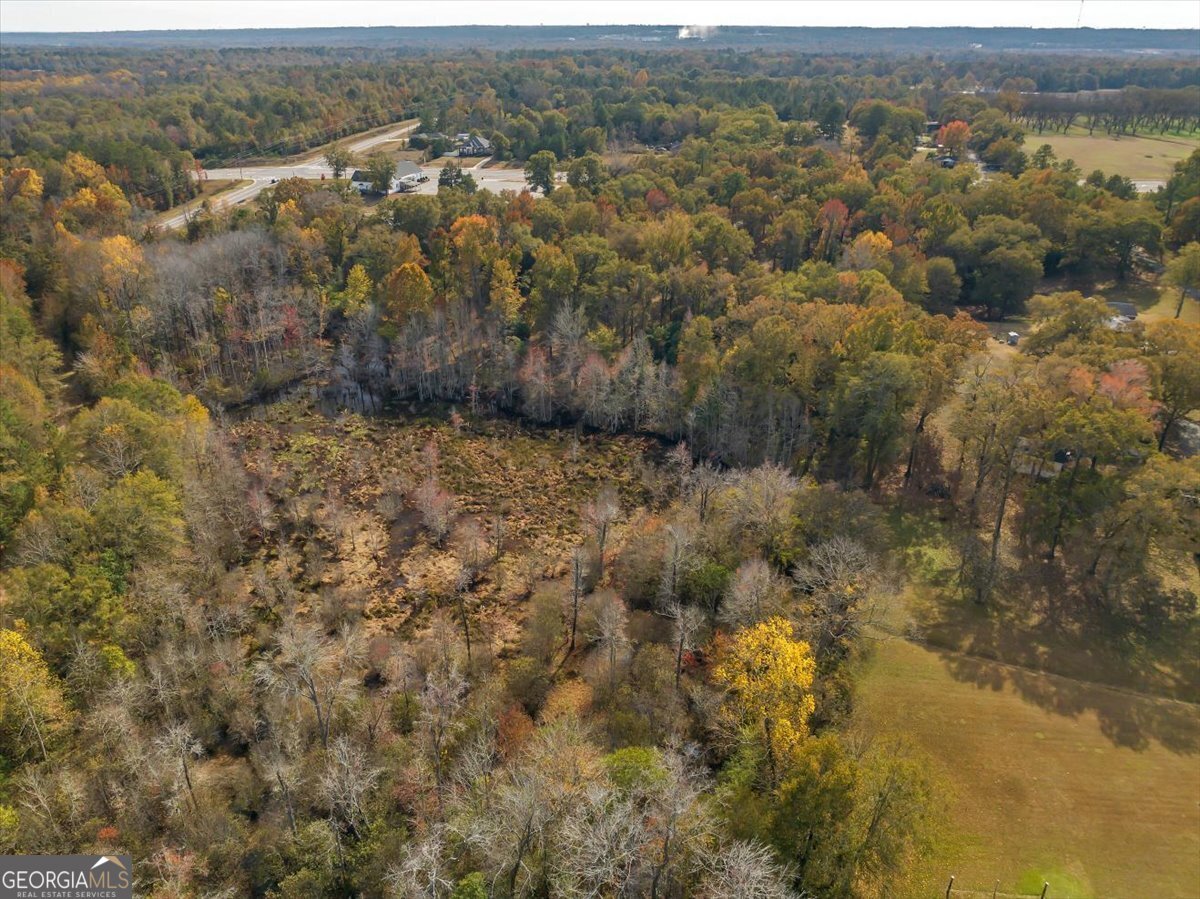 4565 Sardis Church Road Macon - Photo 64