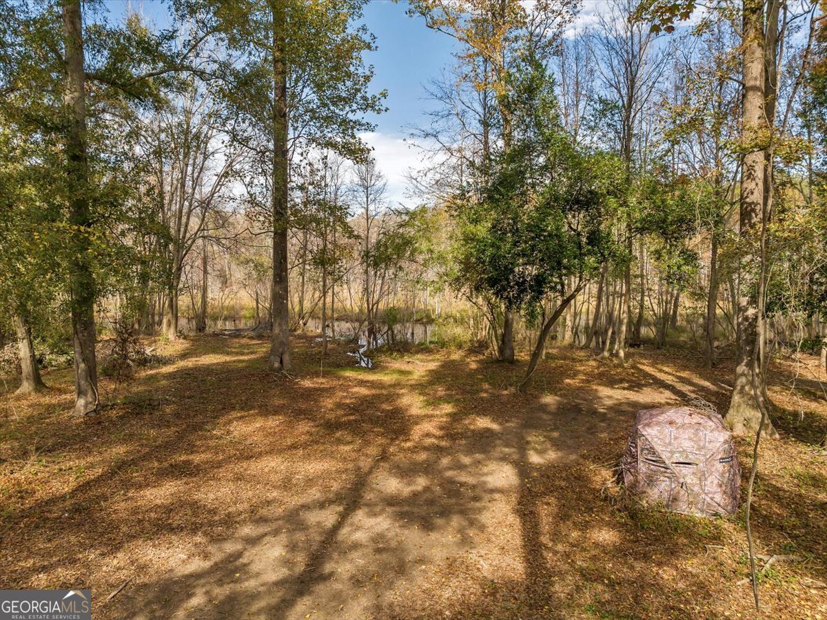 4565 Sardis Church Road Macon - Photo 67