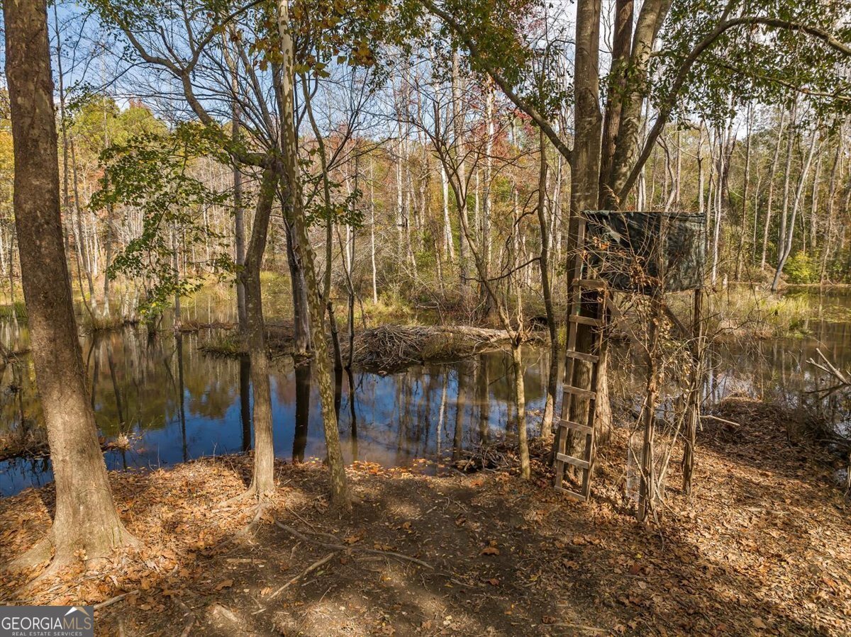 4565 Sardis Church Road Macon - Photo 68
