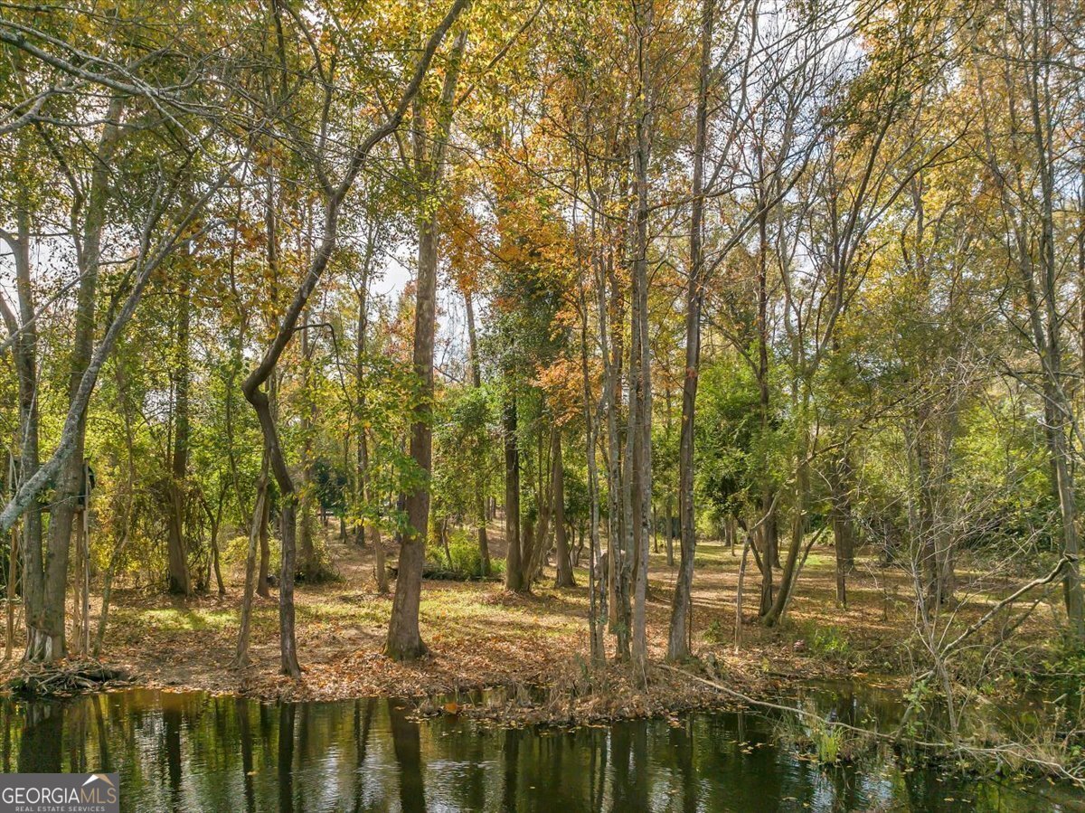 4565 Sardis Church Road Macon - Photo 69