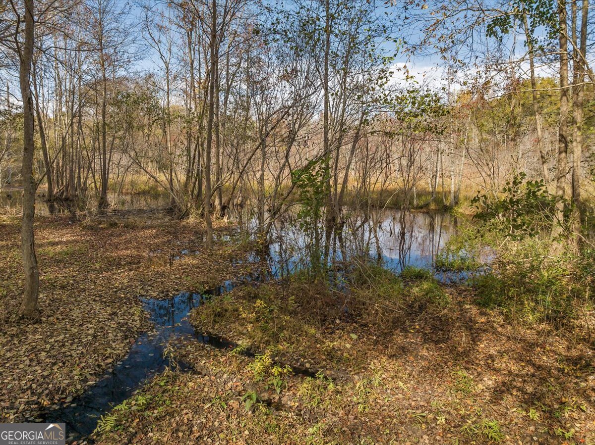 4565 Sardis Church Road Macon - Photo 70