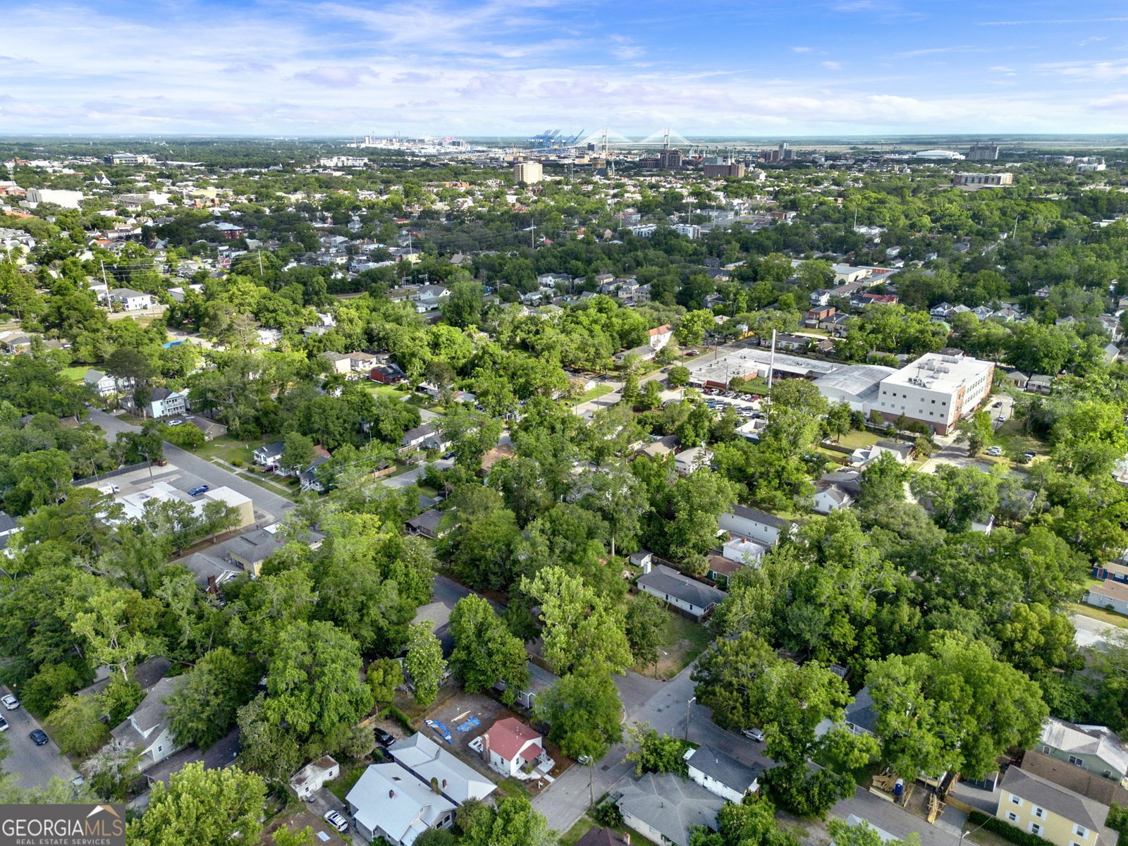 1701 Grove Street Savannah - Photo 47