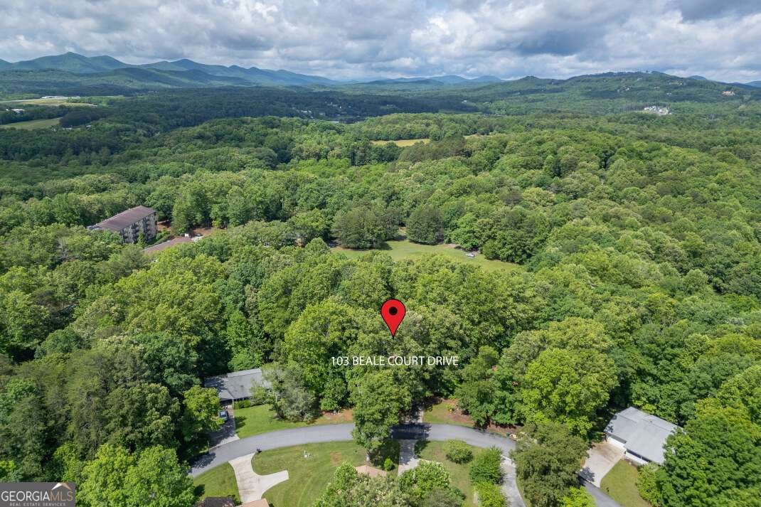 103 Beale Court Drive Blairsville - Photo 29