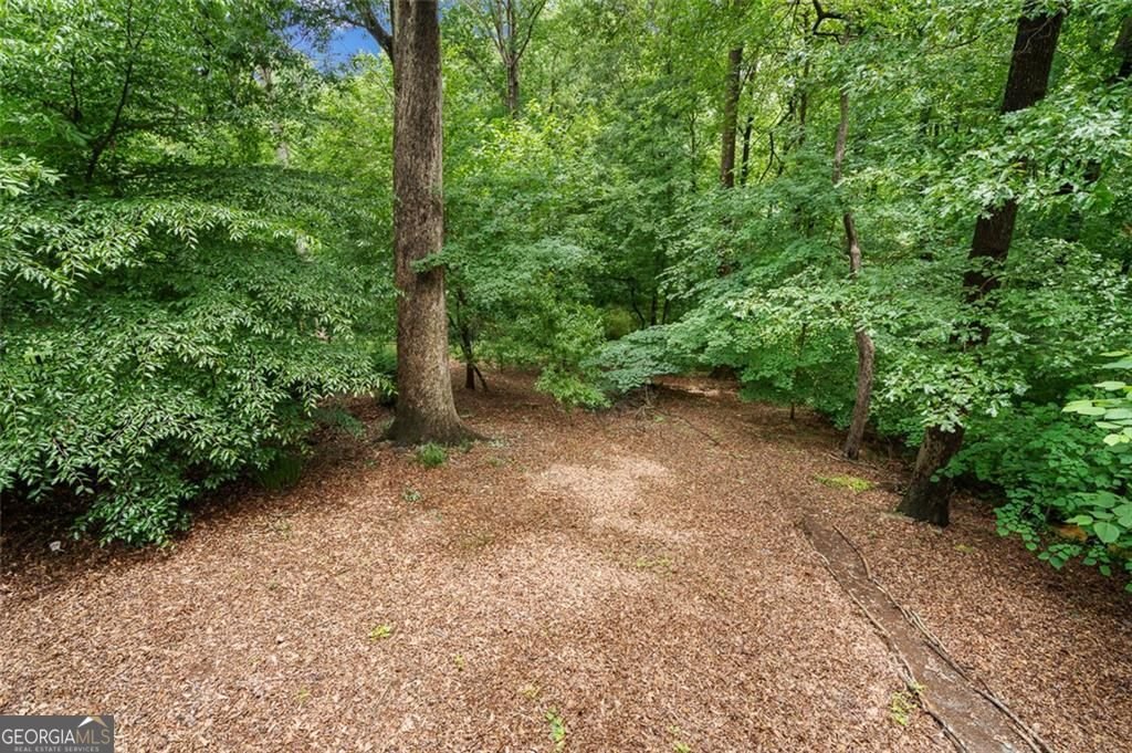 1346 Conway Road Decatur - Photo 68