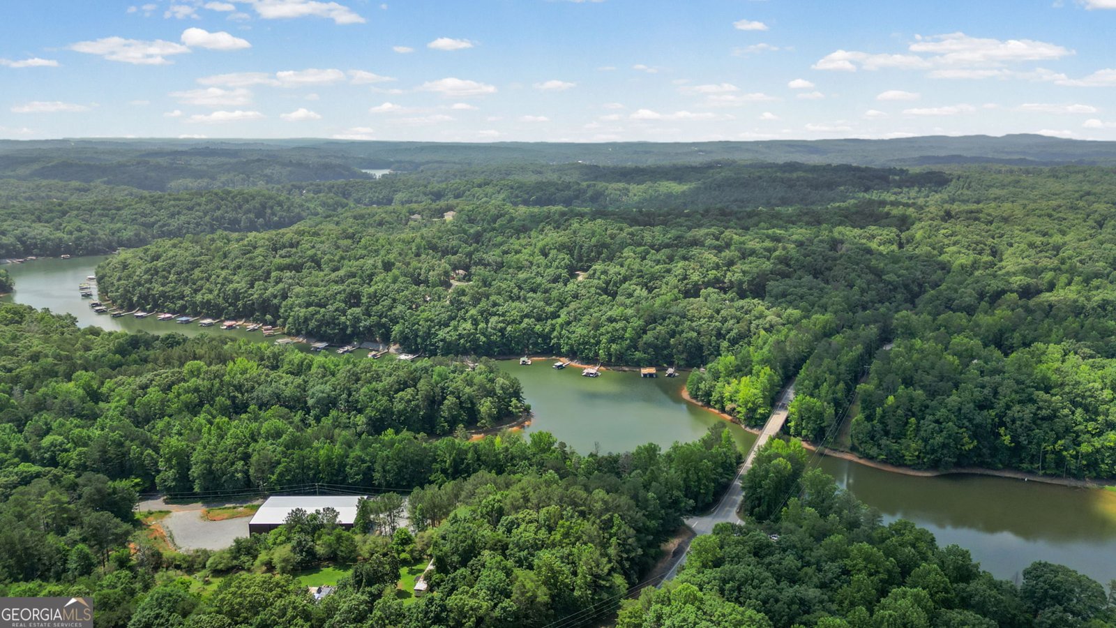 10 Knollwood Court Dawsonville - Photo 90