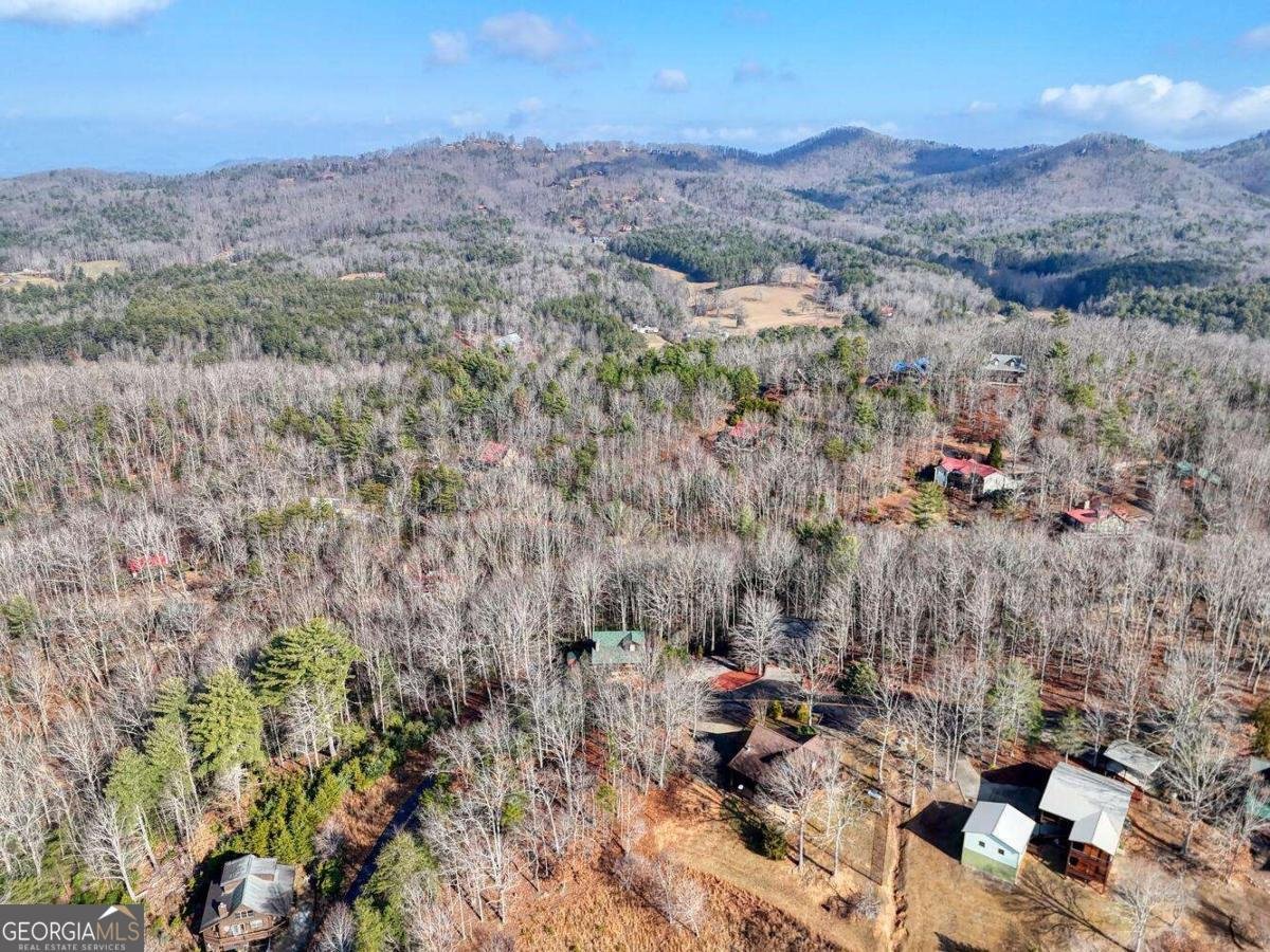1327 Highland Trace Blairsville - Photo 46
