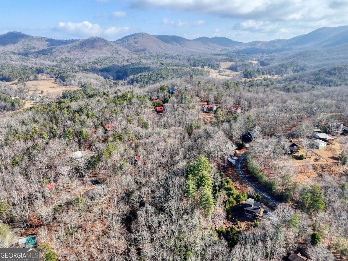 1327 Highland Trace Blairsville - Photo 47