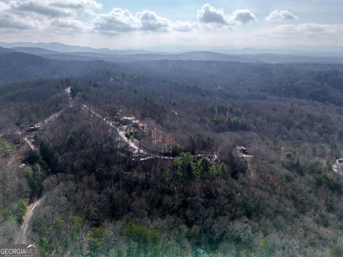 1327 Highland Trace Blairsville - Photo 48