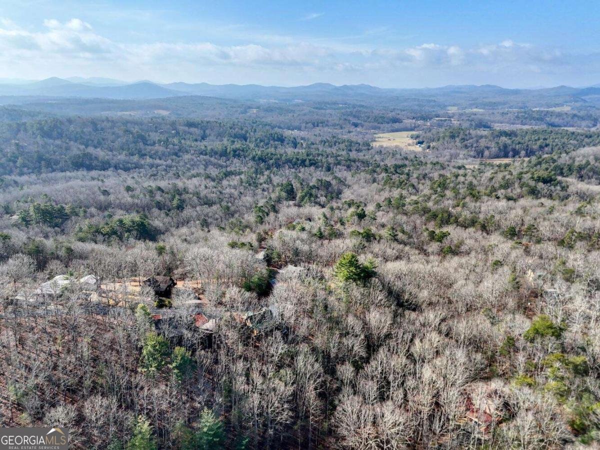 1327 Highland Trace Blairsville - Photo 49