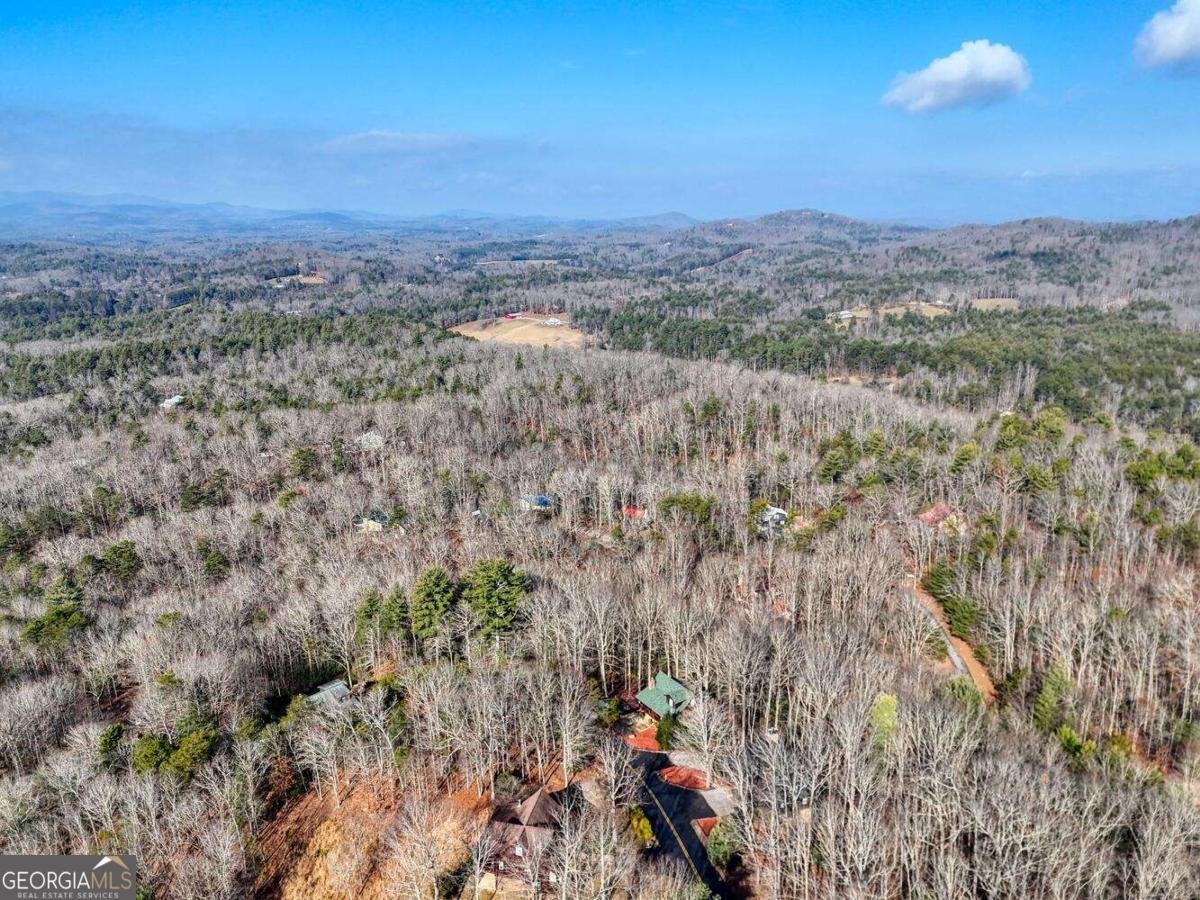 1327 Highland Trace Blairsville - Photo 50