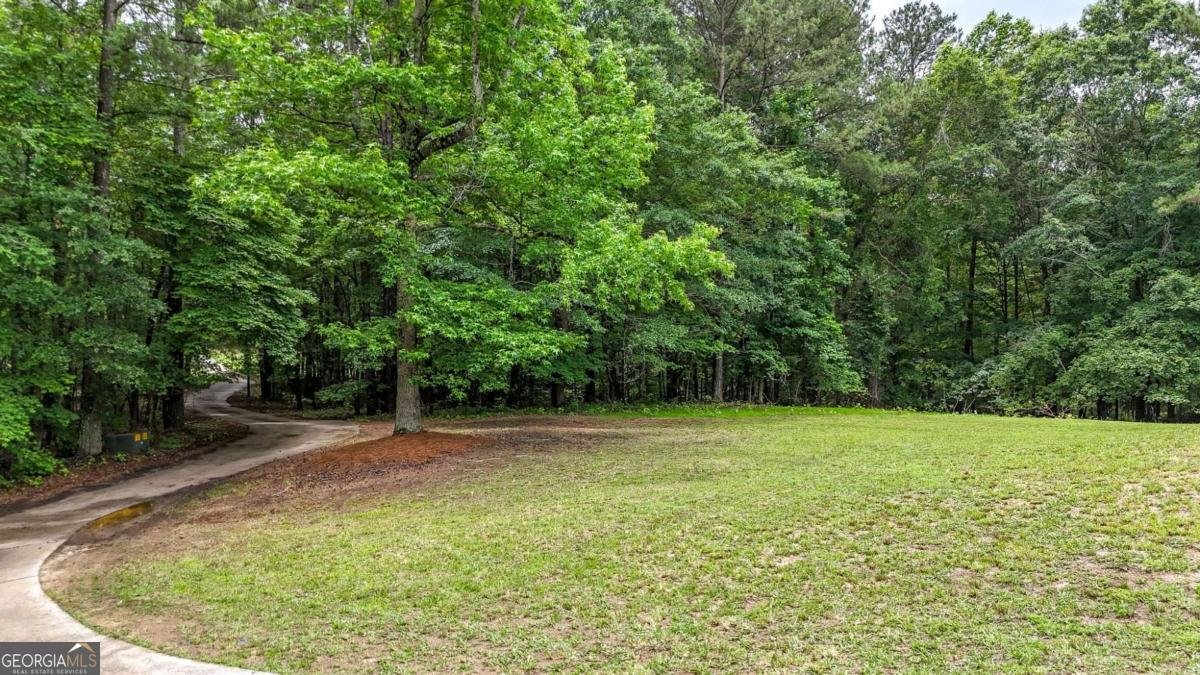 1146 Mann Road Douglasville - Photo 61