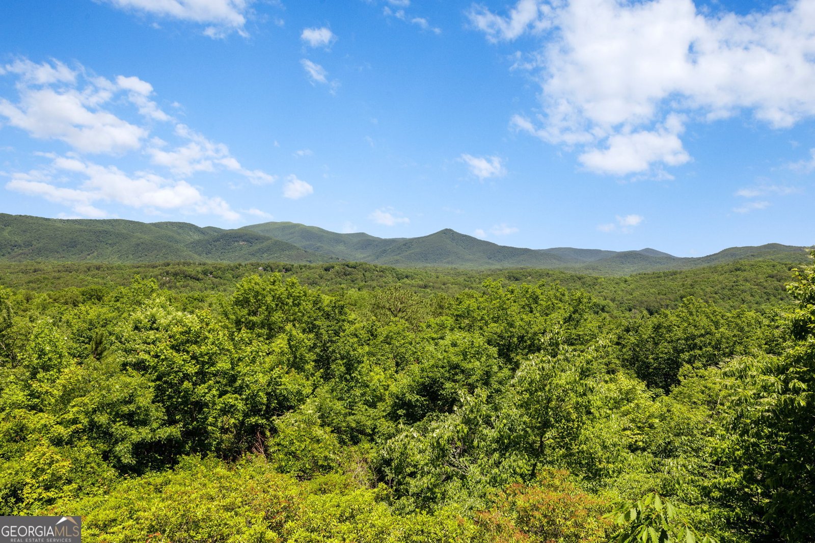 430 Grimes Nose Sautee Nacoochee - Photo 35