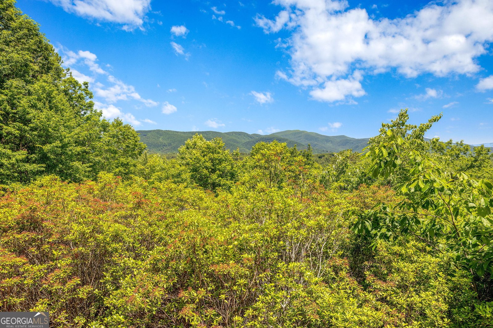 430 Grimes Nose Sautee Nacoochee - Photo 67