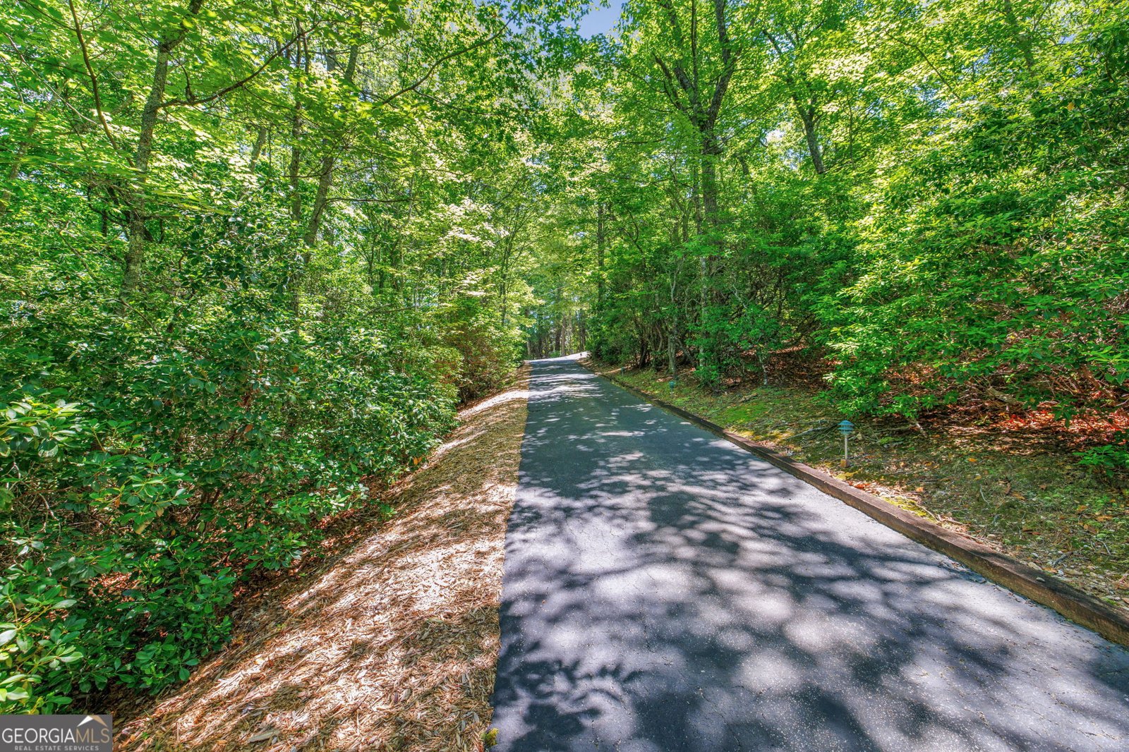 430 Grimes Nose Sautee Nacoochee - Photo 71