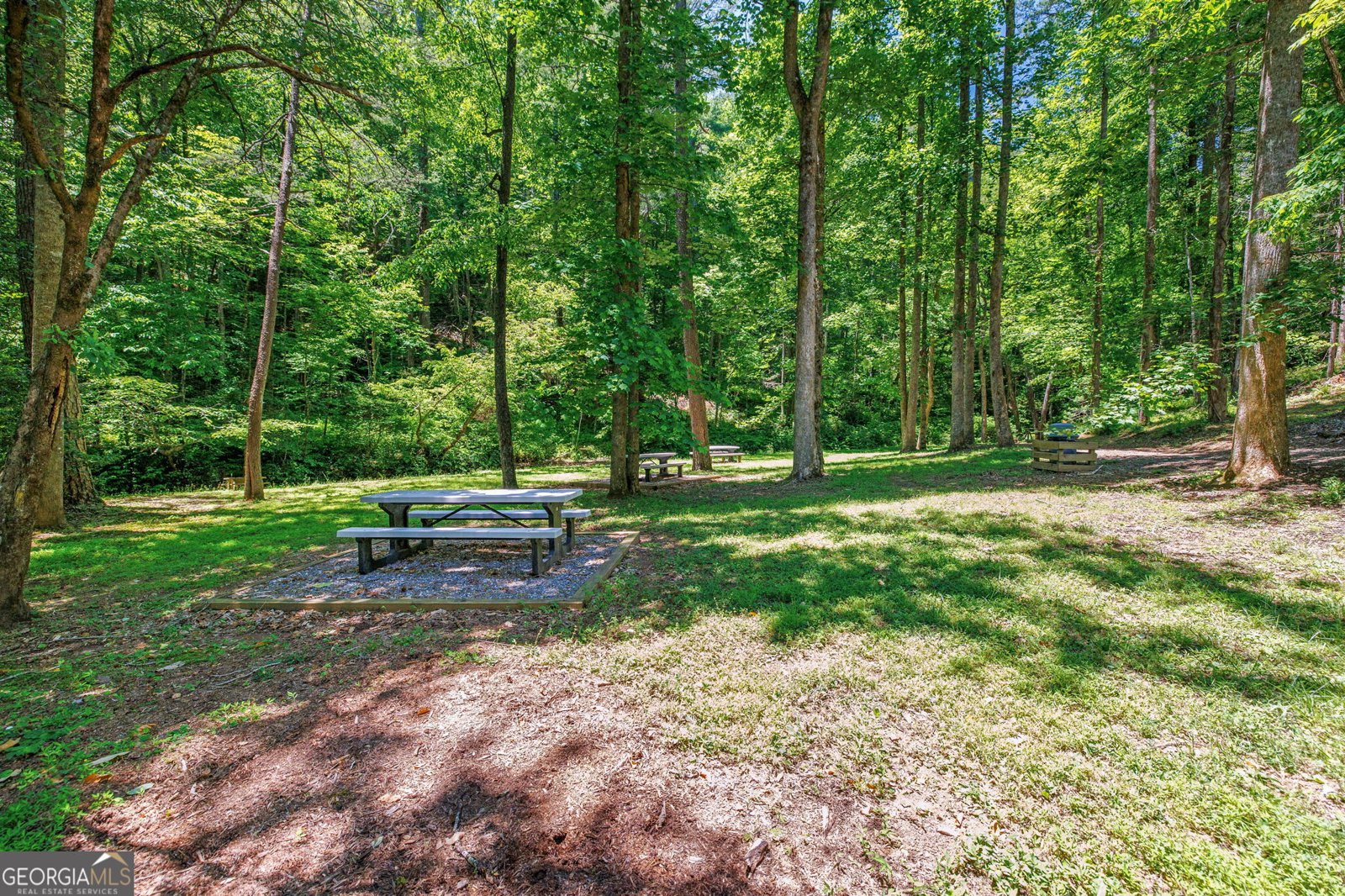 430 Grimes Nose Sautee Nacoochee - Photo 73