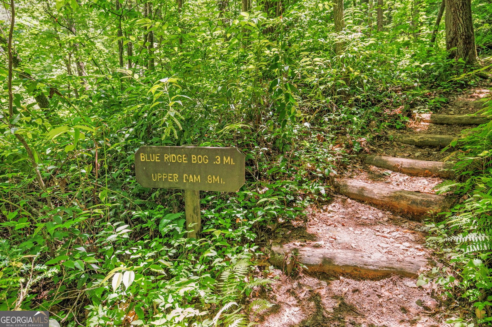 430 Grimes Nose Sautee Nacoochee - Photo 79