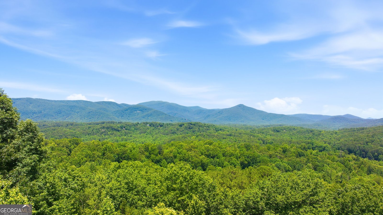 430 Grimes Nose Sautee Nacoochee - Photo 87