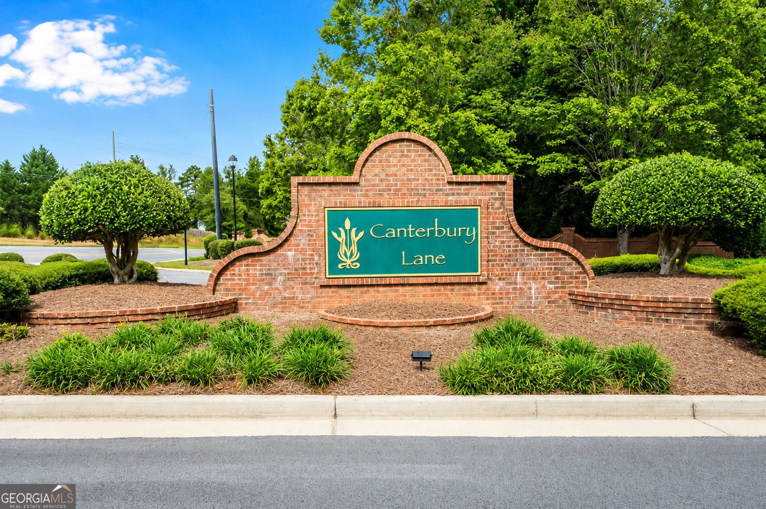 295 Whitby Drive Douglasville - Photo 42