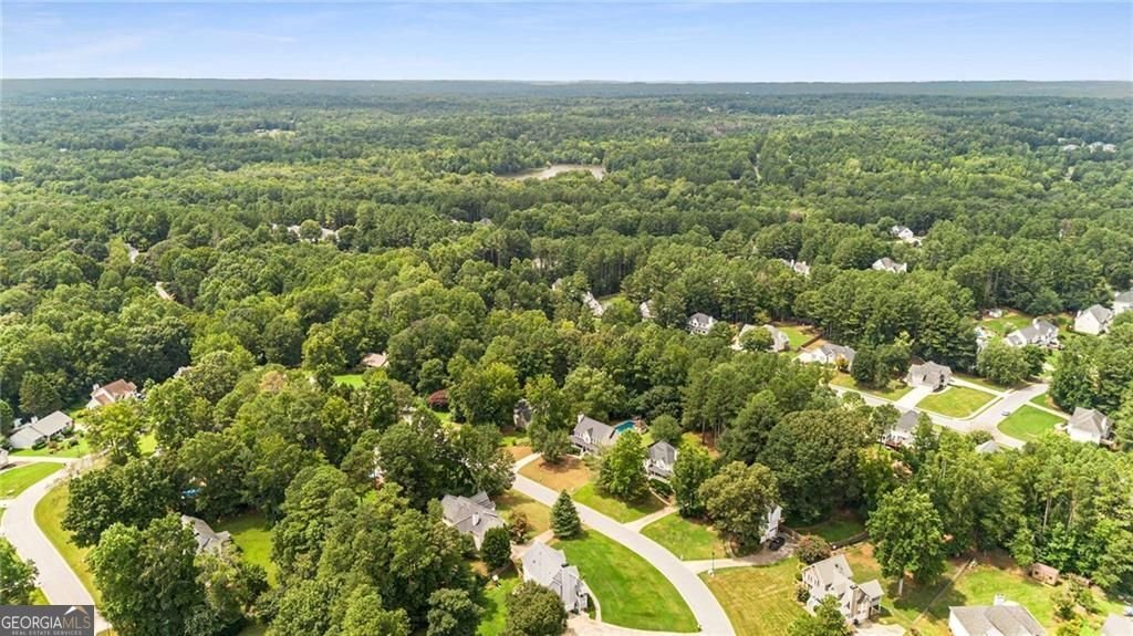 295 Whitby Drive Douglasville - Photo 47