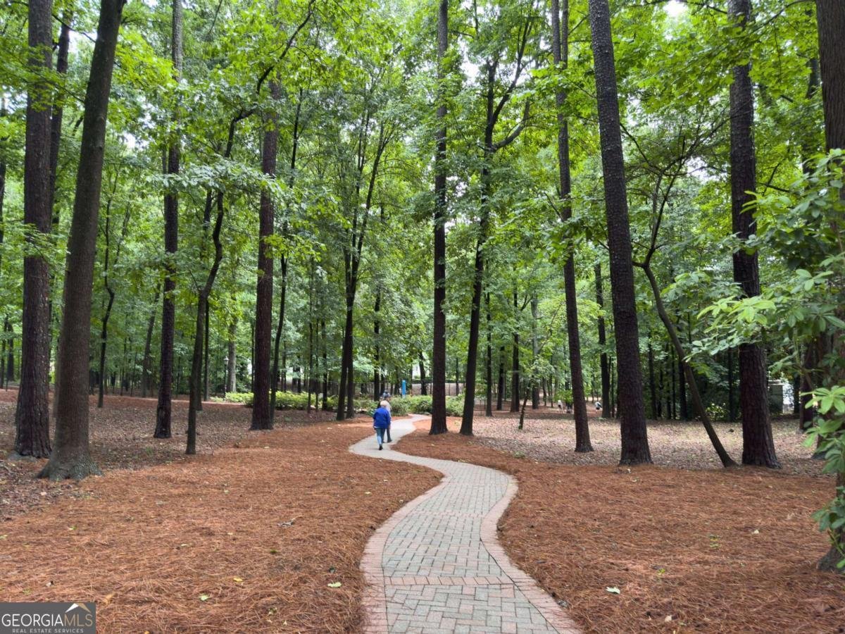 343 Pine Grove Road Roswell - Photo 39