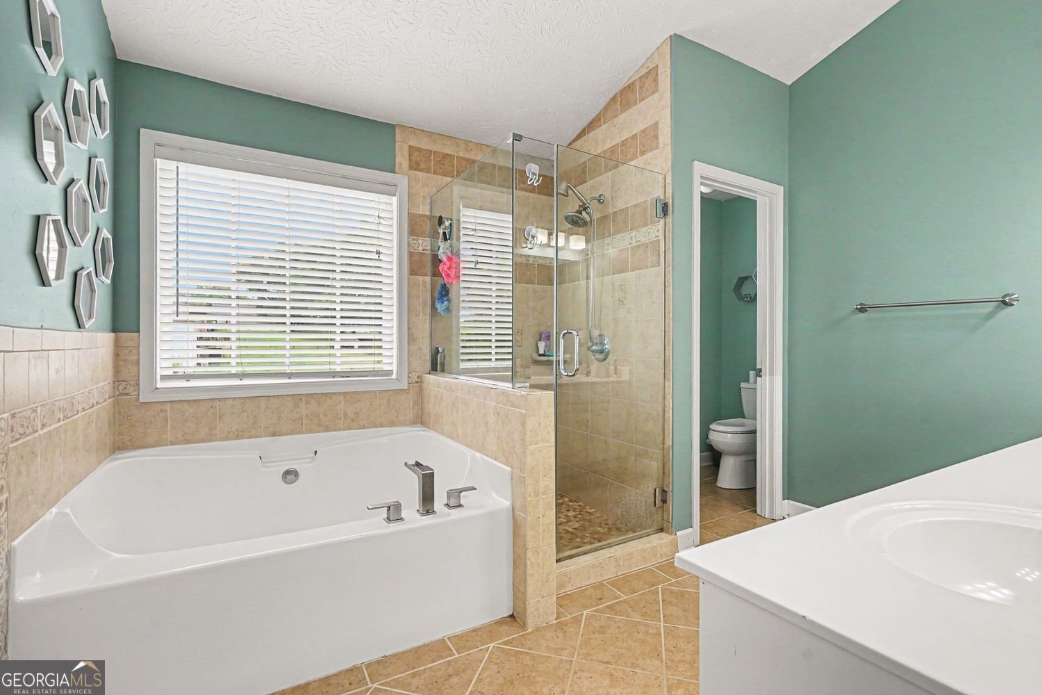 318 Dunagan Chase Drive Lawrenceville - Photo 26