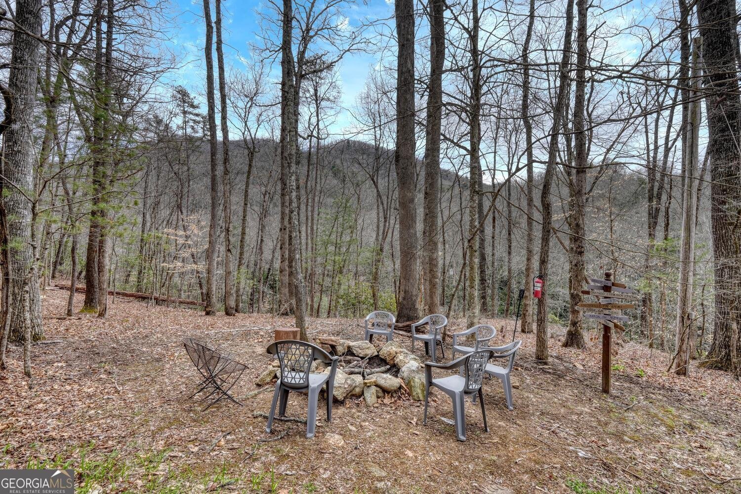 575 Carolina Springs Lane Franklin - Photo 11