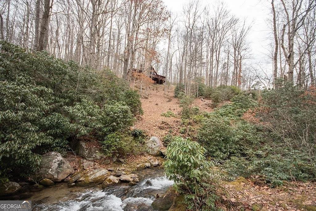 575 Carolina Springs Lane Franklin - Photo 30