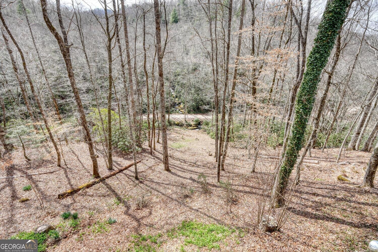 575 Carolina Springs Lane Franklin - Photo 53