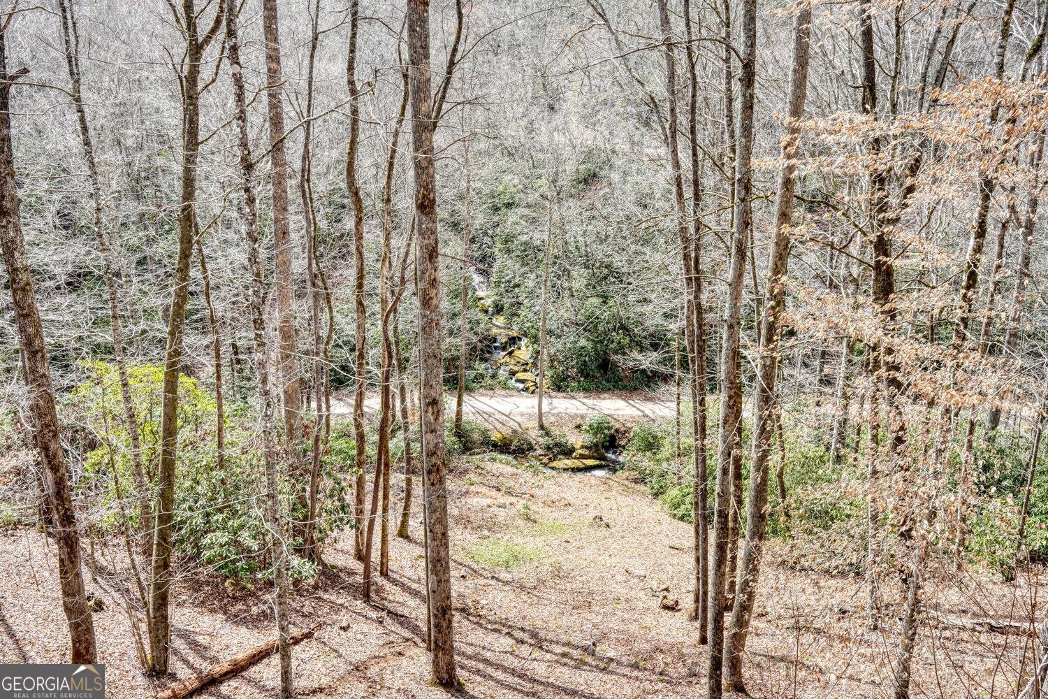 575 Carolina Springs Lane Franklin - Photo 54