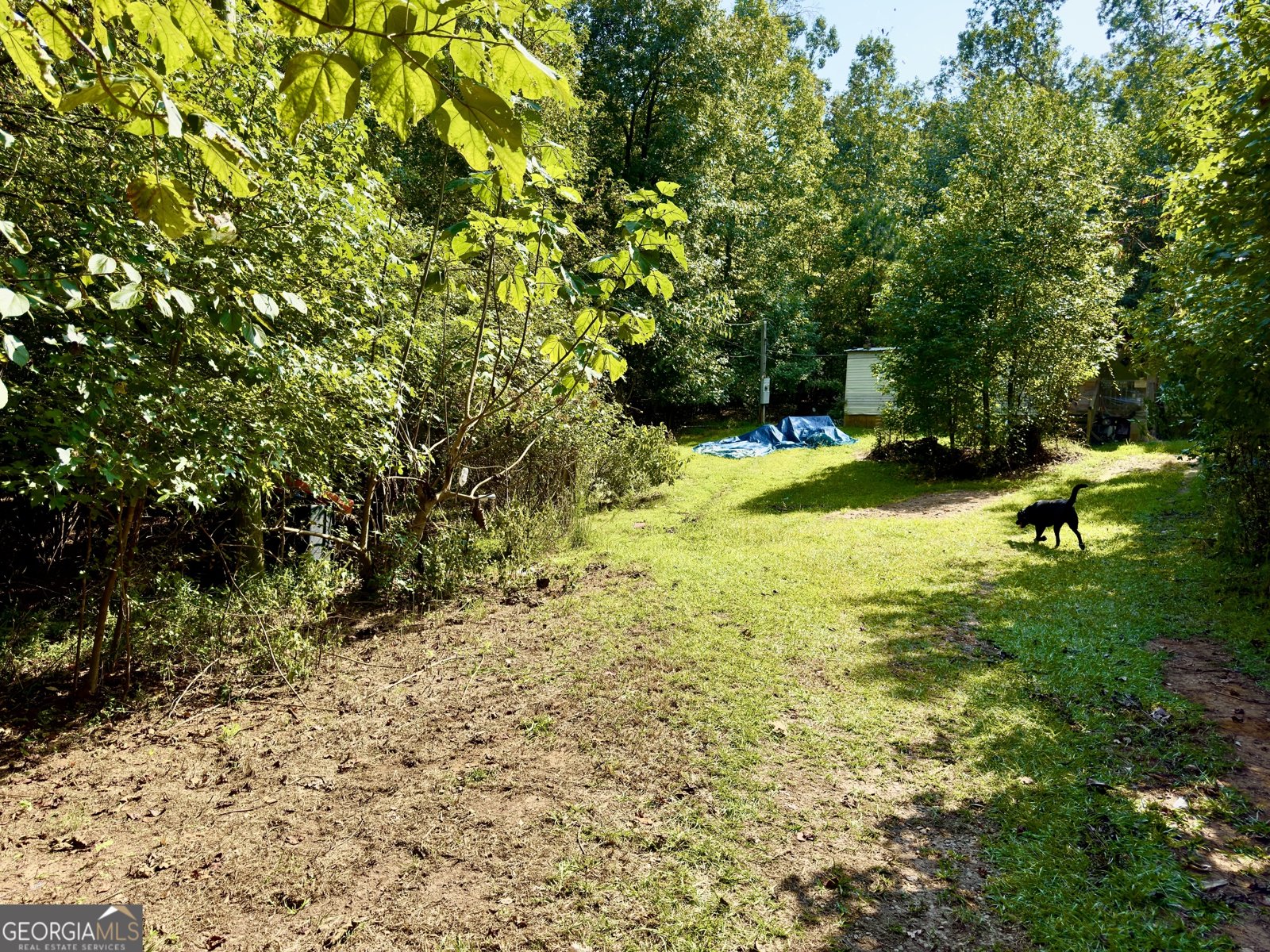 808 Rock Forge Road Jefferson - Photo 6
