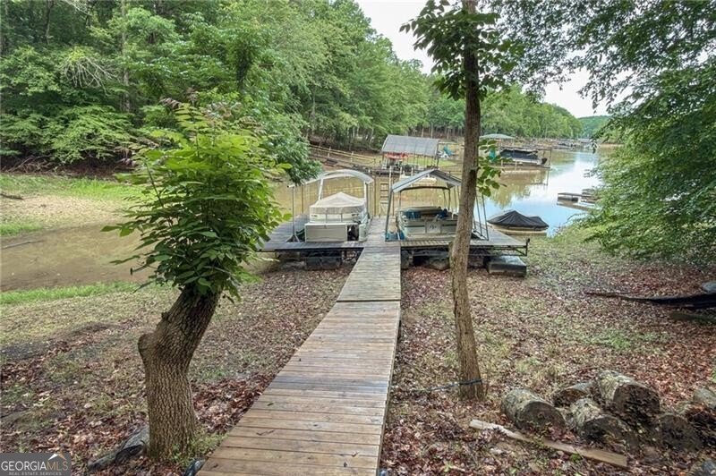 195 Fredericks Cove Dawsonville - Photo 45