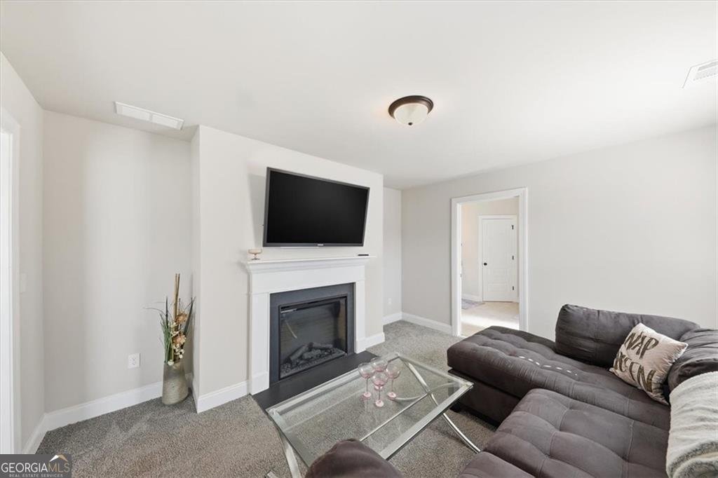 321 Usher Lane Locust Grove - Photo 20