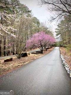 196 Cherokee Drive Waleska - Photo 25