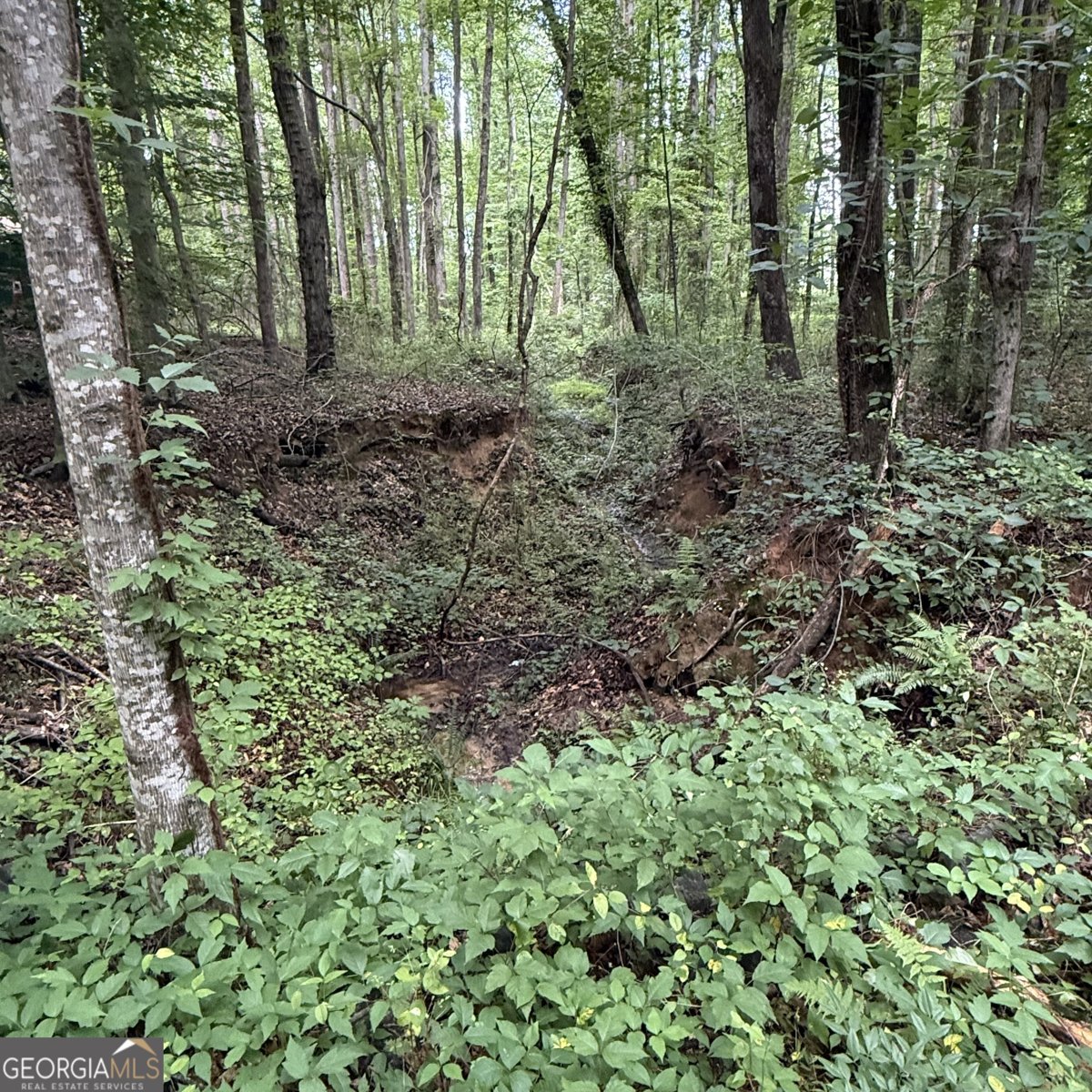 1862 Forrest Road Lawrenceville - Photo 12