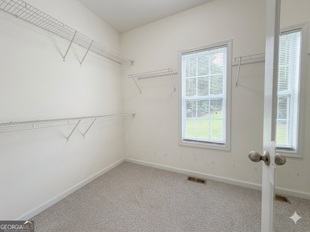 162 Pintail Point Senoia - Photo 28