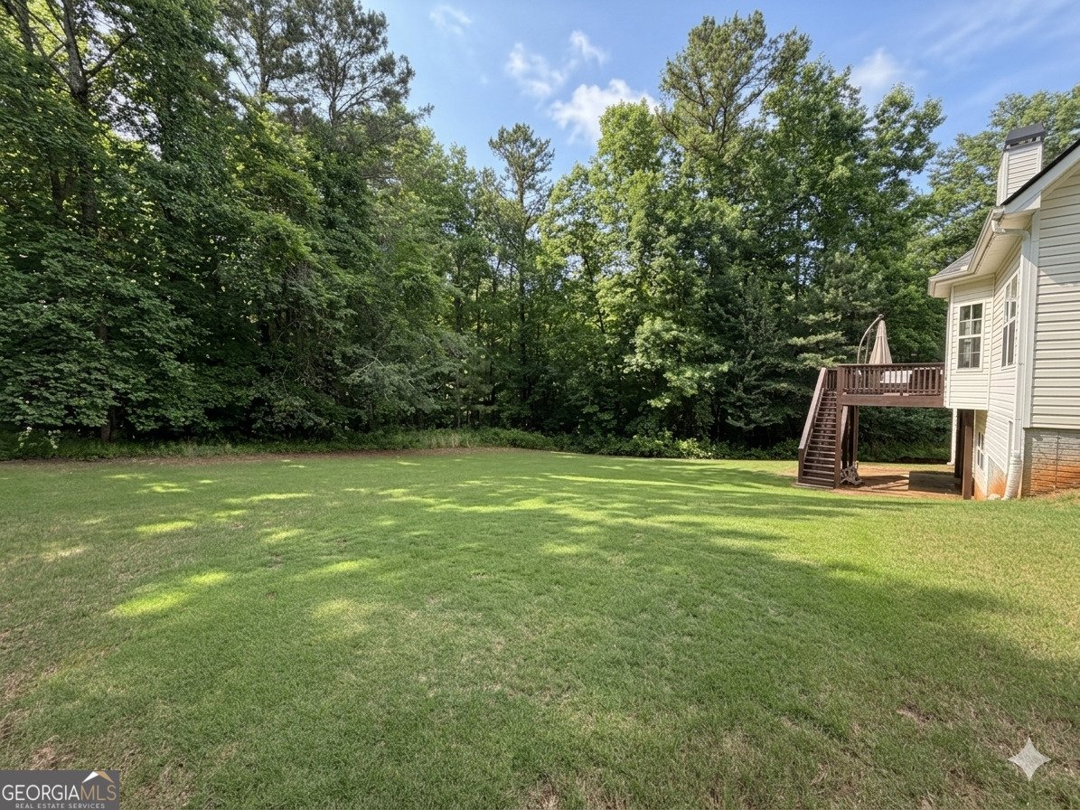 162 Pintail Point Senoia - Photo 49