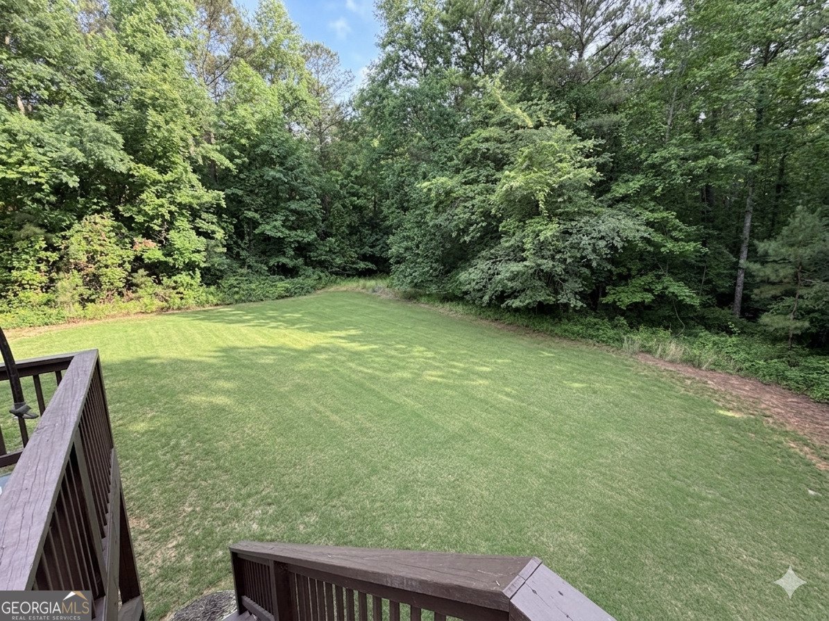 162 Pintail Point Senoia - Photo 51