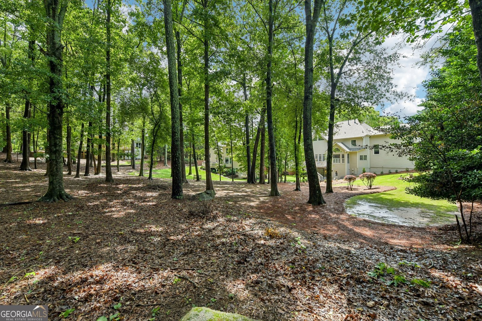 160 Woodcliff Drive Suwanee - Photo 44