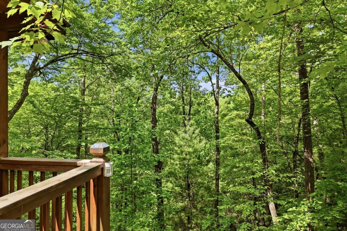 156 Dupont Drive Blue Ridge - Photo 27