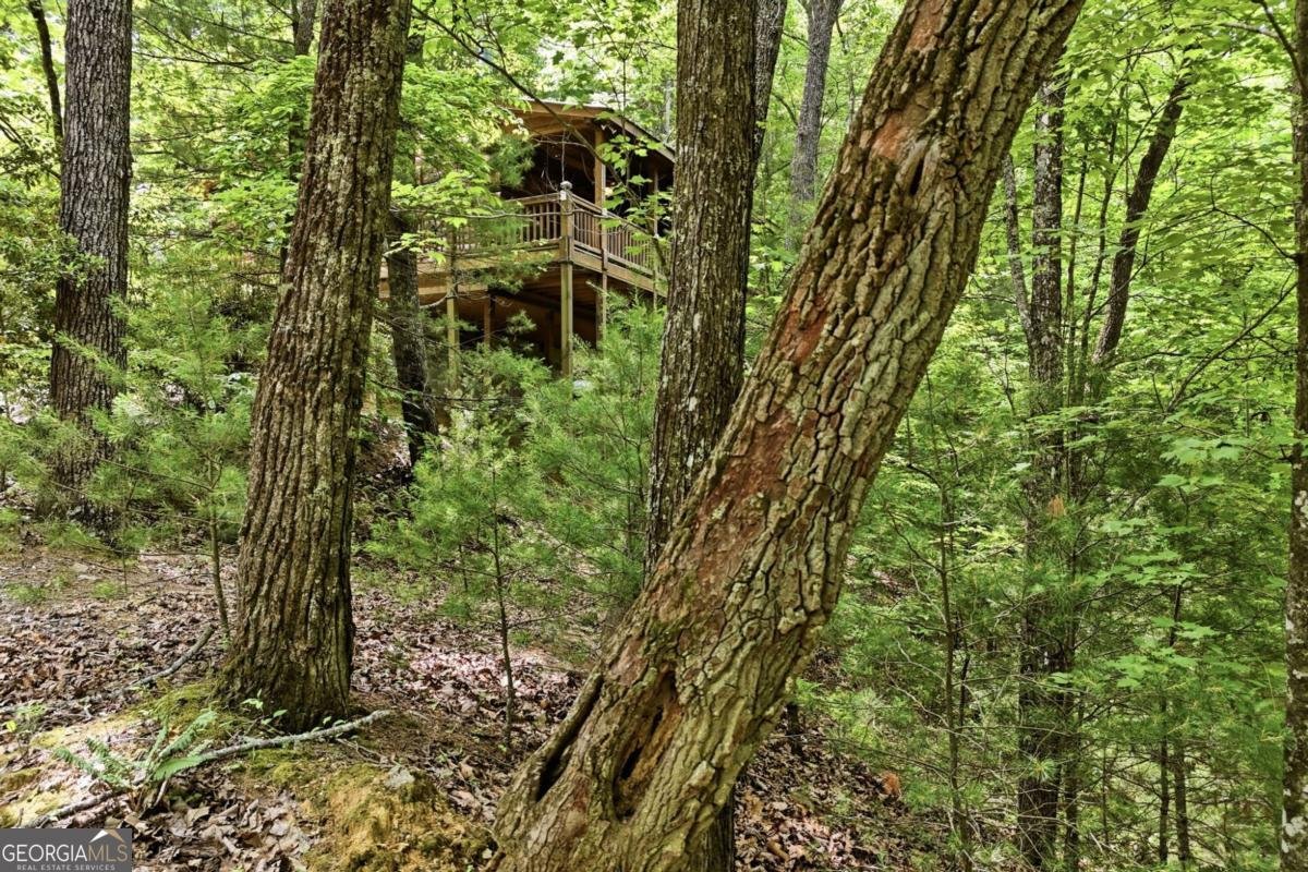 156 Dupont Drive Blue Ridge - Photo 28