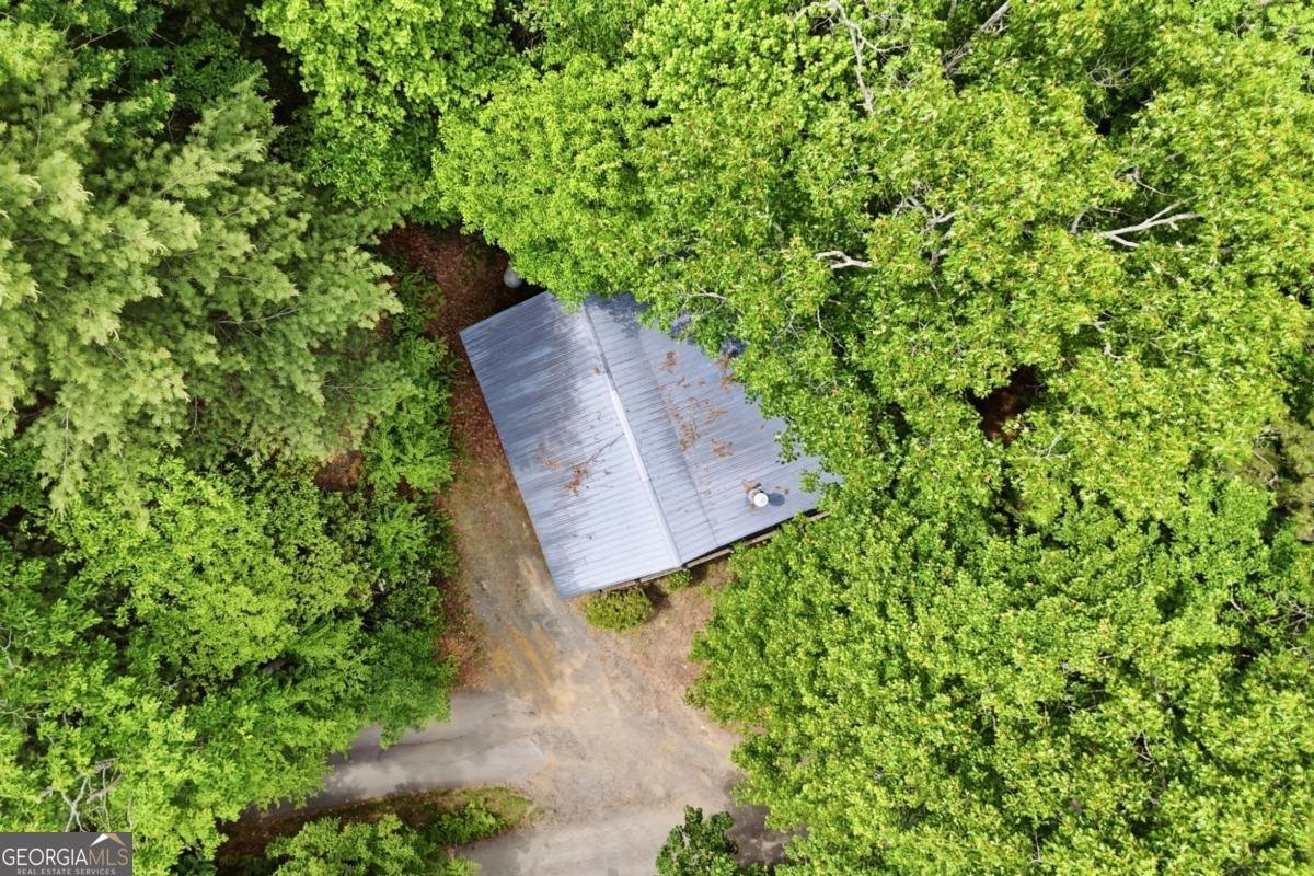 156 Dupont Drive Blue Ridge - Photo 29