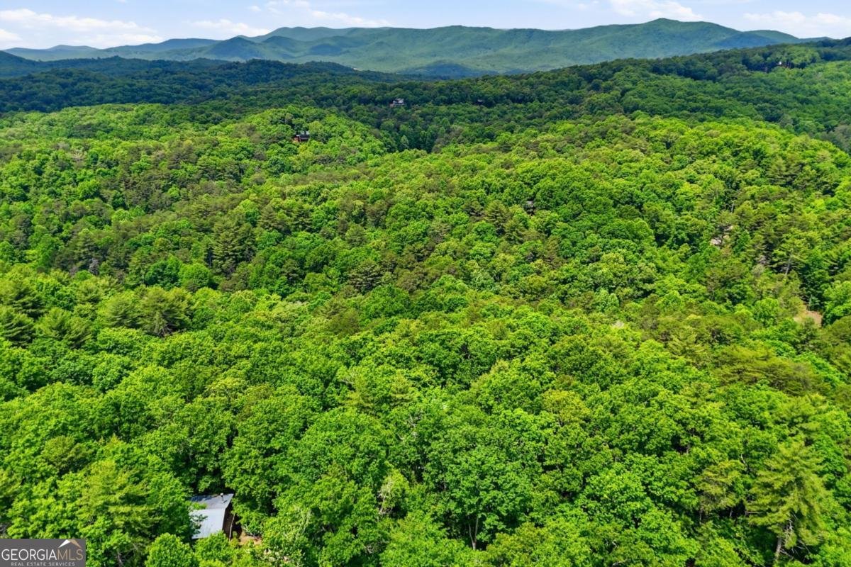 156 Dupont Drive Blue Ridge - Photo 30