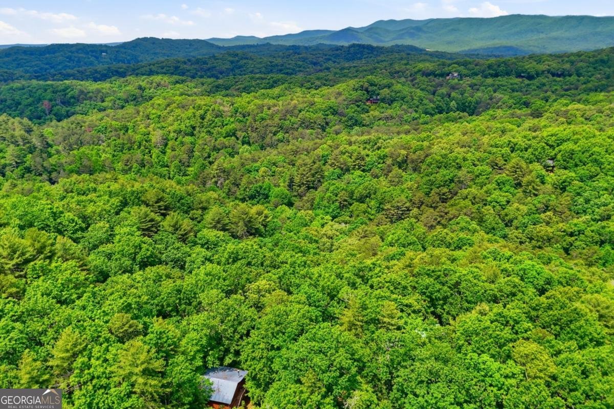 156 Dupont Drive Blue Ridge - Photo 31