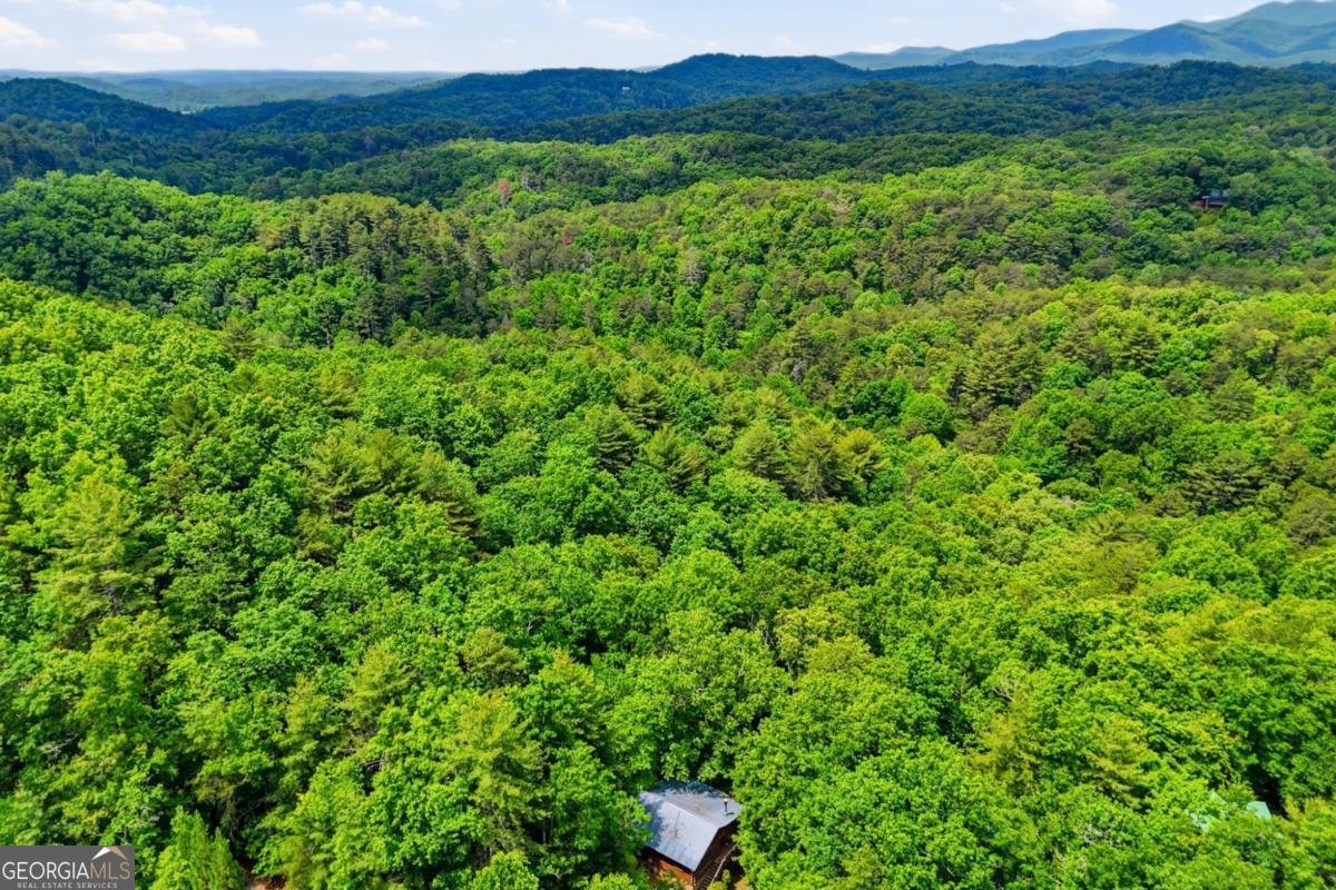 156 Dupont Drive Blue Ridge - Photo 32