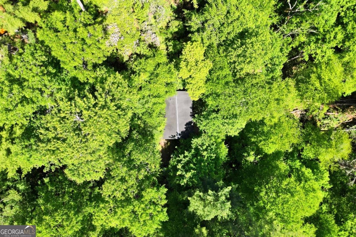 37 Dean Court Blue Ridge - Photo 29